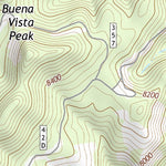 31109NE Page 18 Chiricahua Peak Topo Preview 2