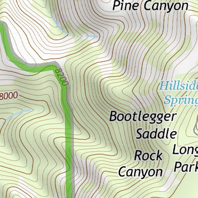 31109NE Page 18 Chiricahua Peak Topo Preview 3