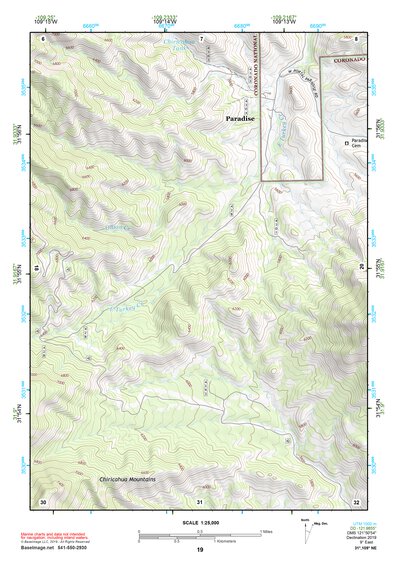 31109NE Page 19 Chiricahua Peak Topo Preview 1