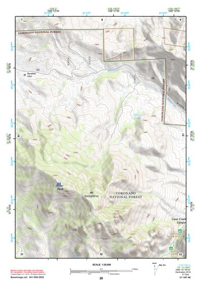 31109NE Page 20 Chiricahua Peak Topo Preview 1