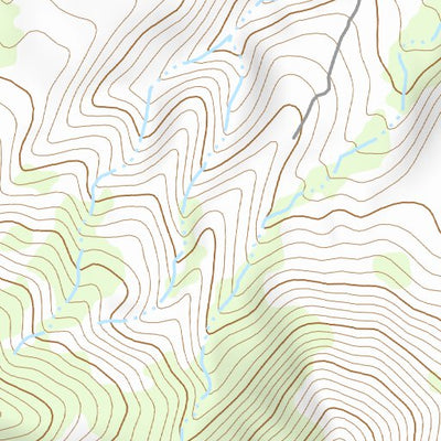 31109NE Page 20 Chiricahua Peak Topo Preview 2