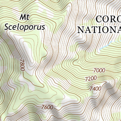 31109NE Page 20 Chiricahua Peak Topo Preview 3