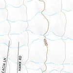 31109NE Page 22 Chiricahua Peak Topo Preview 2