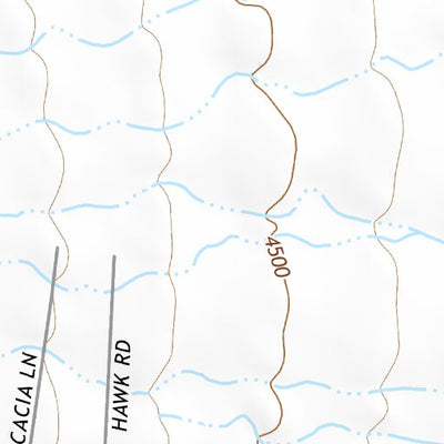 31109NE Page 22 Chiricahua Peak Topo Preview 2