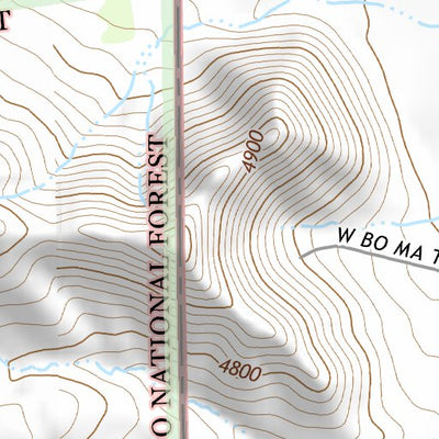 31109NE Page 22 Chiricahua Peak Topo Preview 3