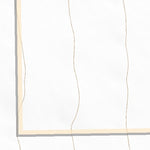 31109NE Page 23 Chiricahua Peak Topo Preview 2