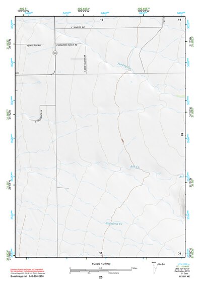 31109NE Page 25 Chiricahua Peak Topo Preview 1