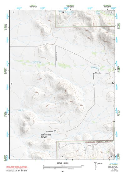 31109NE Page 26 Chiricahua Peak Topo Preview 1