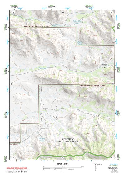31109NE Page 27 Chiricahua Peak Topo Preview 1