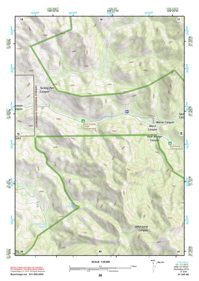31109NE Page 28 Chiricahua Peak Topo Preview 1