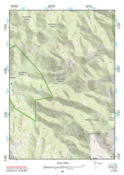 31109NE Page 29 Chiricahua Peak Topo Preview 1