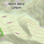 31109NE Page 29 Chiricahua Peak Topo Preview 2