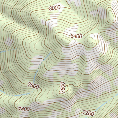 31109NE Page 29 Chiricahua Peak Topo Preview 3