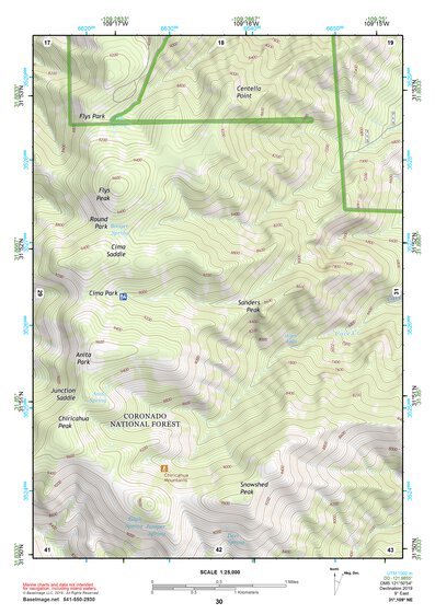 31109NE Page 30 Chiricahua Peak Topo Preview 1