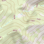 31109NE Page 30 Chiricahua Peak Topo Preview 3