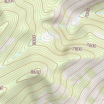 31109NE Page 30 Chiricahua Peak Topo Preview 3