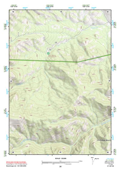 31109NE Page 31 Chiricahua Peak Topo Preview 1