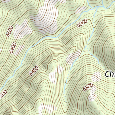 31109NE Page 31 Chiricahua Peak Topo Preview 3