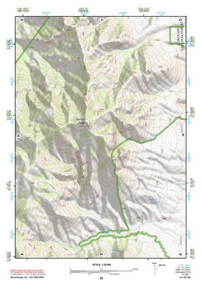 31109NE Page 33 Chiricahua Peak Topo Preview 1