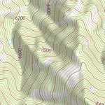 31109NE Page 33 Chiricahua Peak Topo Preview 3