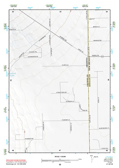 31109NE Page 35 Chiricahua Peak Topo Preview 1