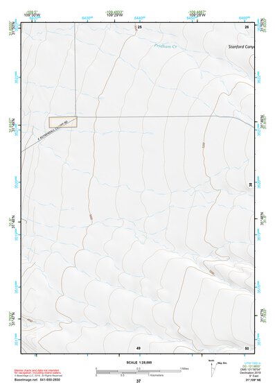 31109NE Page 37 Chiricahua Peak Topo Preview 1
