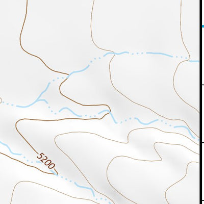 31109NE Page 37 Chiricahua Peak Topo Preview 3