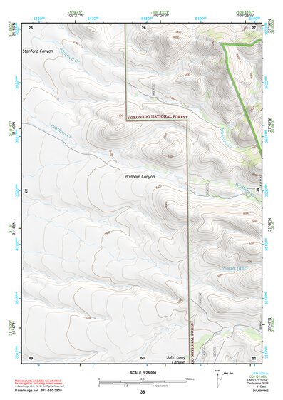 31109NE Page 38 Chiricahua Peak Topo Preview 1