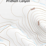 31109NE Page 38 Chiricahua Peak Topo Preview 2