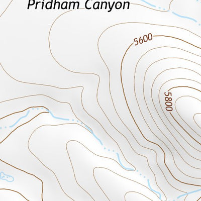 31109NE Page 38 Chiricahua Peak Topo Preview 2