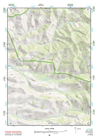 31109NE Page 39 Chiricahua Peak Topo Preview 1