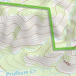 31109NE Page 39 Chiricahua Peak Topo Preview 2