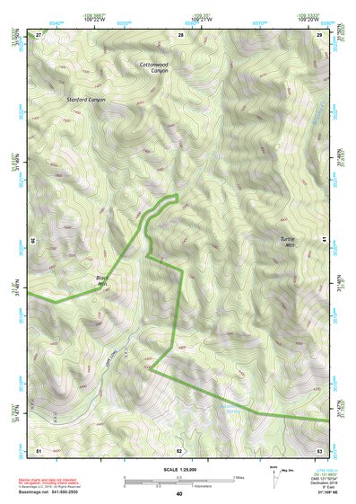 31109NE Page 40 Chiricahua Peak Topo Preview 1