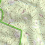 31109NE Page 40 Chiricahua Peak Topo Preview 2