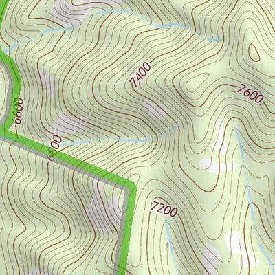 31109NE Page 40 Chiricahua Peak Topo Preview 2