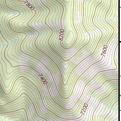 31109NE Page 40 Chiricahua Peak Topo Preview 3