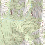 31109NE Page 41 Chiricahua Peak Topo Preview 2