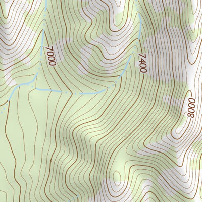 31109NE Page 41 Chiricahua Peak Topo Preview 2