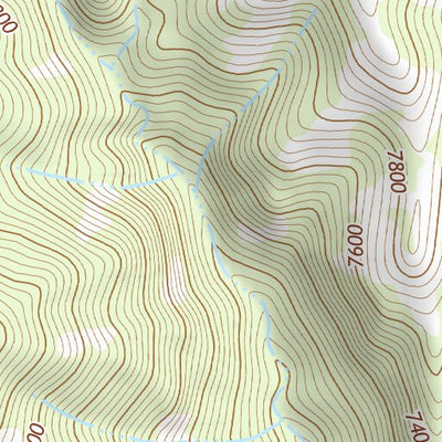 31109NE Page 41 Chiricahua Peak Topo Preview 3