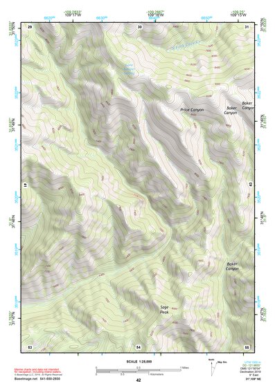 31109NE Page 42 Chiricahua Peak Topo Preview 1