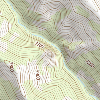 31109NE Page 42 Chiricahua Peak Topo Preview 2