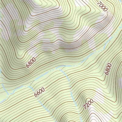 31109NE Page 42 Chiricahua Peak Topo Preview 3
