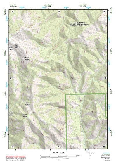 31109NE Page 43 Chiricahua Peak Topo Preview 1