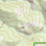 31109NE Page 43 Chiricahua Peak Topo Preview 2