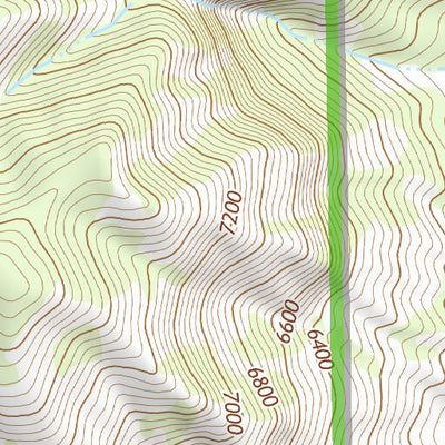 31109NE Page 43 Chiricahua Peak Topo Preview 3