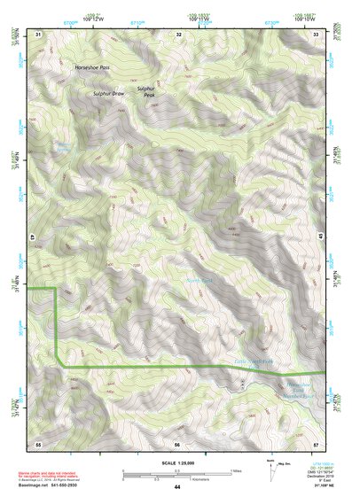 31109NE Page 44 Chiricahua Peak Topo Preview 1
