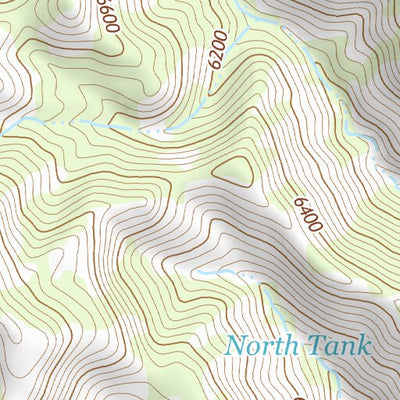 31109NE Page 44 Chiricahua Peak Topo Preview 2