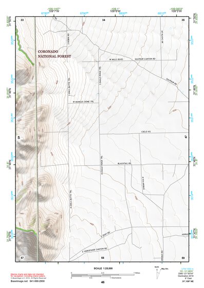 31109NE Page 46 Chiricahua Peak Topo Preview 1