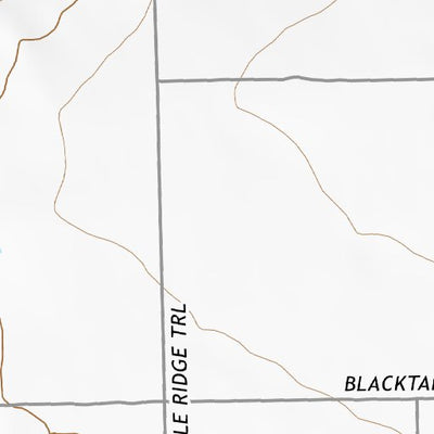 31109NE Page 46 Chiricahua Peak Topo Preview 2