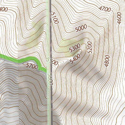 31109NE Page 46 Chiricahua Peak Topo Preview 3